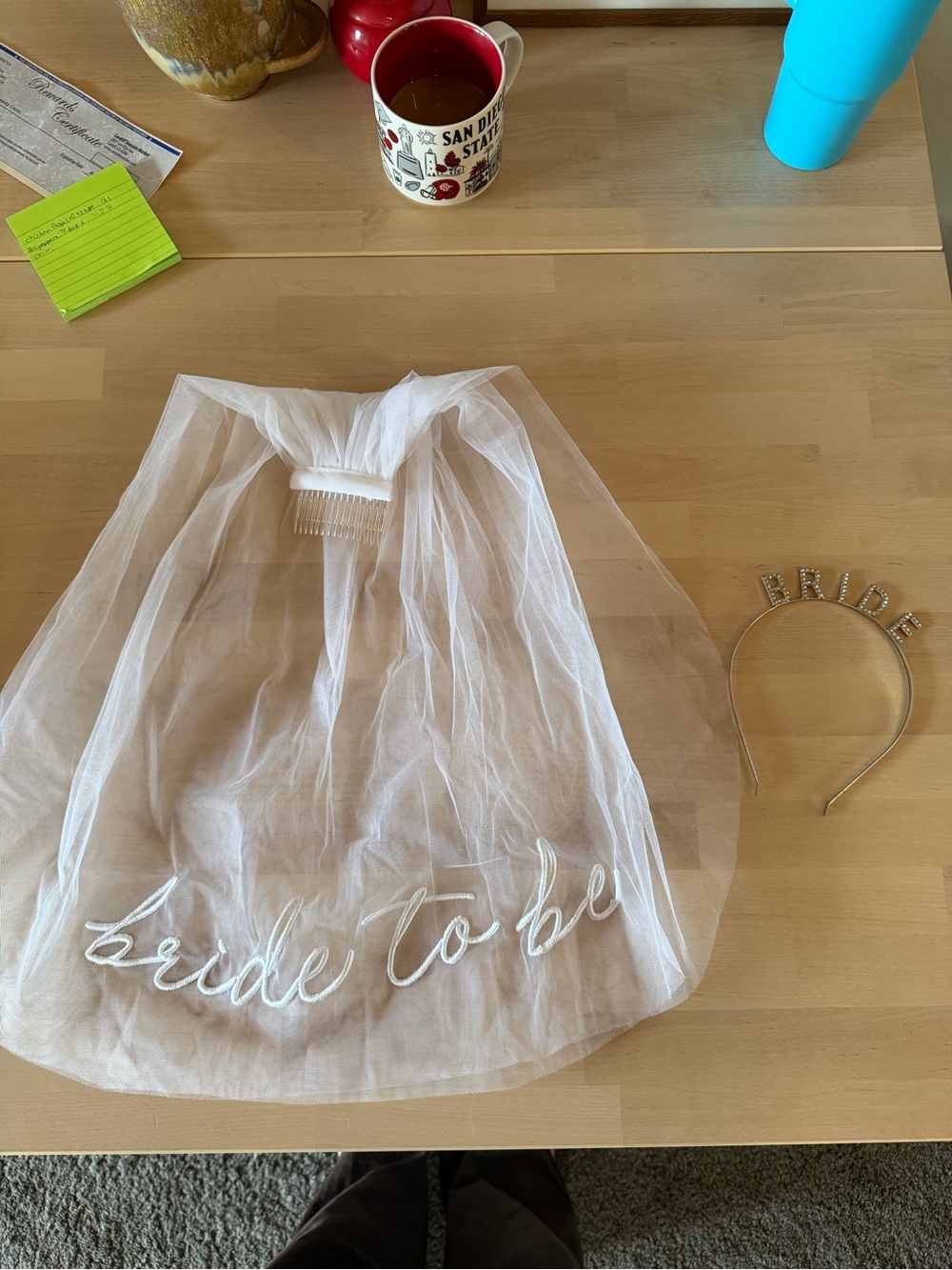 Bride to Be Veil and Headband